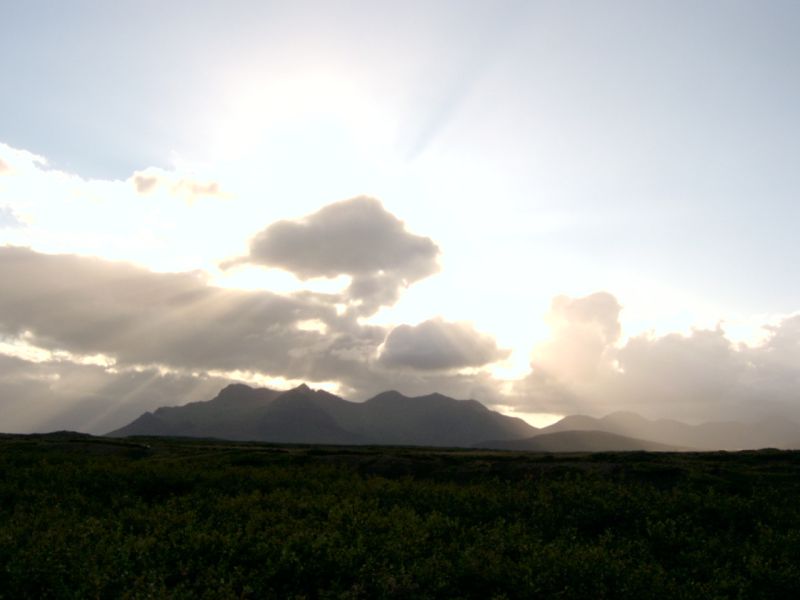 Original image