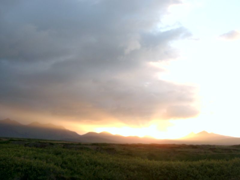 Original image