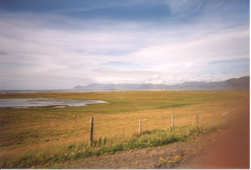 Original image